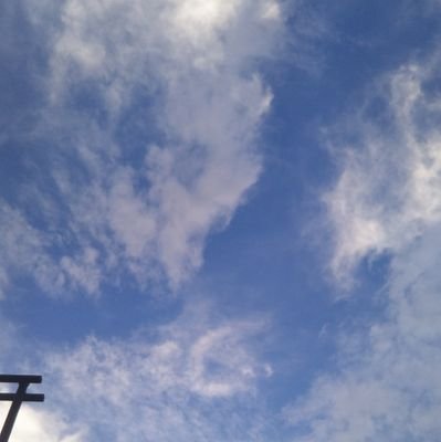 tea1230kuma's profile picture. 急性期MSW。これからもがん相談を頑張りたいです。