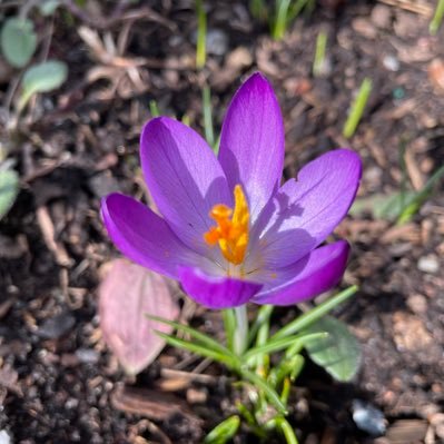 debmay18's profile picture. 