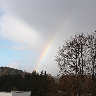 LaGrandeSaule's profile picture. 