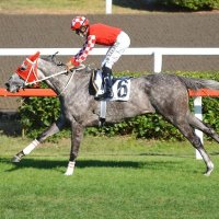 Perilina (@perilina0) 's Twitter Profile Photo