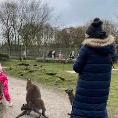 Jo_Shmo's profile picture. 