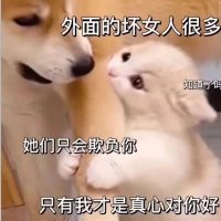 風新 (@fngxn5886118024) 's Twitter Profile