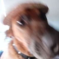 🔻⚙️Marxin🤝🏽🔻 (@martinr22433386) 's Twitter Profile