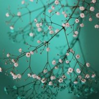 솔솔 (@solsol_yy) 's Twitter Profile