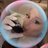 bpinkc's profile image