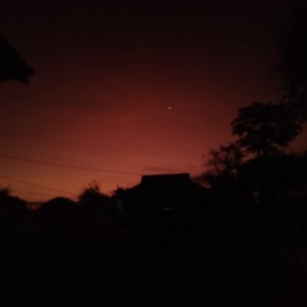 curryja08998229's profile picture. 