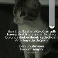 barış.(@cavusoglu_9087) 's Twitter Profile Photo