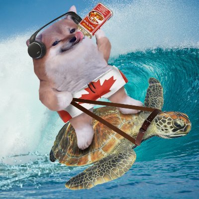 turtledoo47 Profile Picture