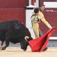 Peña Taurina Mario Navas (@ptmarionavas) 's Twitter Profile Photo