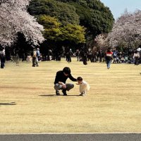 かずきよ (@_kzkiyo) Twitter profile photo