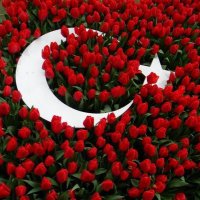Konyalı (@ugur07x) 's Twitter Profile