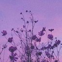 Ella Platt-Goldstein - @GoldsteinE6228 - Twitter