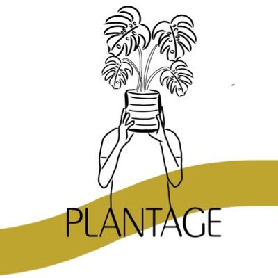 🌱You need more plants IMO🌱               🫶🏼💚Welcome to Plantage 💚🫶🏼               Follow my plant journey 🌱💚🌱💚