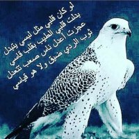 العوني/محمد شبيب البغيلي(@alouny__) 's Twitter Profile Photo