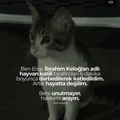 true_besiktasli Profile Picture