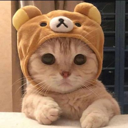 CurroJf's profile picture. 💀