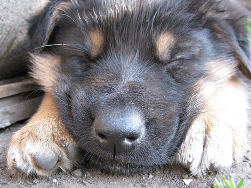 MrShumakov's profile picture. Люблю путешевствовать)Фолловлю всех,буду рад вас видеть у себя на страничке!!!