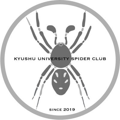 九州大学生物研究部(@QUBRC)のクモ班のアカウントです。伊都キャンパスを中心に活動しています。Kyushu University’s spider club. We’ll post some pictures of spiders and our latest activities. (2019~)