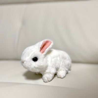 mimo♡ページ mimo♡ページ mimo♡ページ もも⭐︎ mimo♡ページ ケイちゃんページです