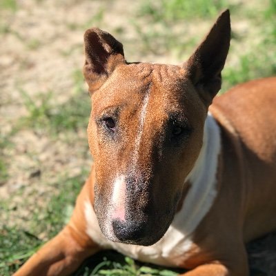 gallivantcap's profile picture. Family Office.