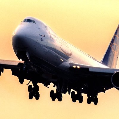 PlanegeekYT's profile picture. I like planes