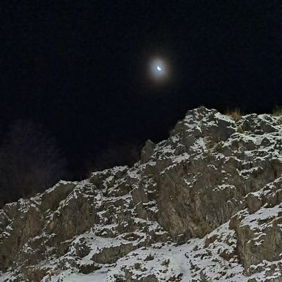 EduardoMDoct's profile picture. 