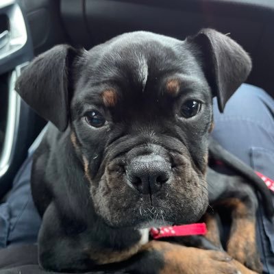 jomurfin's profile picture. Proud to be a nurse. Lead ACP for CCOT and Acuity at UHS. Opinions are my own.