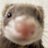 Sumukh Sinha❤️ Memecoin's Twitter (X) avatar