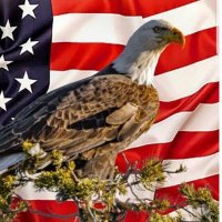 AZ Election News (@azdesert_rose) 's Twitter Profile Photo AZ Election News (@azdesert_rose) 's Twitter Profile Photo