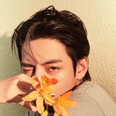 snoozebysuga's profile picture. ARMY 💜 
"Follow your dreams, like breaker
Even if you break down, oh better"