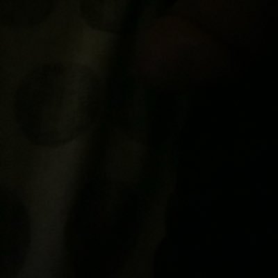 FaridSamuele's profile picture. 