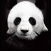 Alek Pohrte (@pohrtealek) Twitter profile photo Alek Pohrte (@pohrtealek) Twitter profile photo