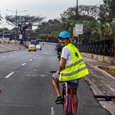 Consultor de movilidad segura y transporte.