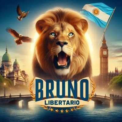 BRUBER220's profile picture. LIBERTARIO HASTA LA MEDULA🦁🇦🇷💪