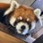 DaywalkerRx's profile image