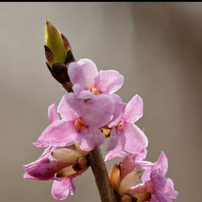 dayaram1666009's profile picture. 