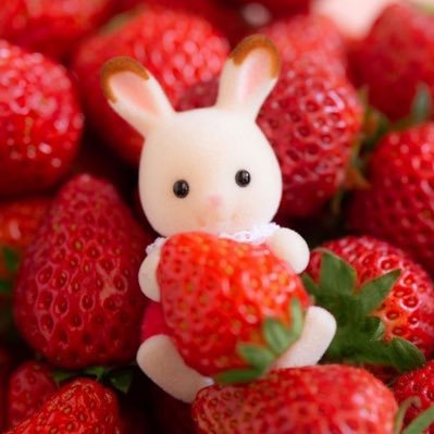 AleAleAle278's profile picture. 