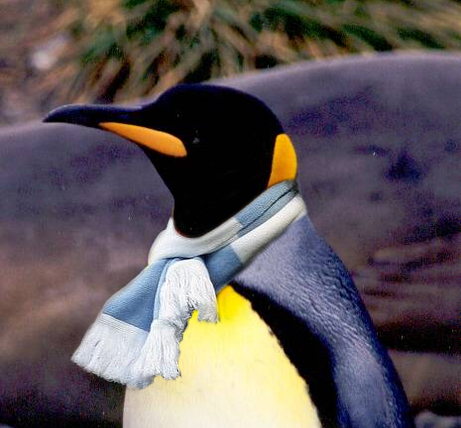 benmcfc's profile picture. Freedom, Truth and Justice. And a hard-boiled egg.