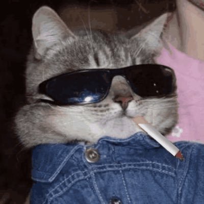 Danielle33101's profile picture. 😒