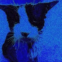Beebis (@beebismeebis) 's Twitter Profile