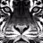 CoolCat2017's profile image
