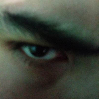 Alacrity___'s profile picture. Web 3