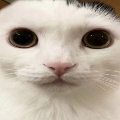 lolさんのプロフィール画像