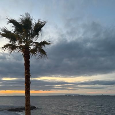 kotatu_katari's profile picture. 雑多なことを話すアカウントです 、生活垢と言い換えてもいいかな。神椿メインの本垢→@Kmtbk_kotatu