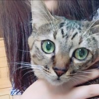 とにょーろ (@tonyo_ro) 's Twitter Profile