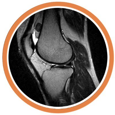 OrthoACCESS 2025 begins in May! Student & faculty registration via the link below.
