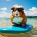 wanderlustpiggy (@wanderlustpiggy) Twitter profile photo wanderlustpiggy (@wanderlustpiggy) Twitter profile photo