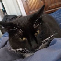 sugar2 (@simons0072) 's Twitter Profile
