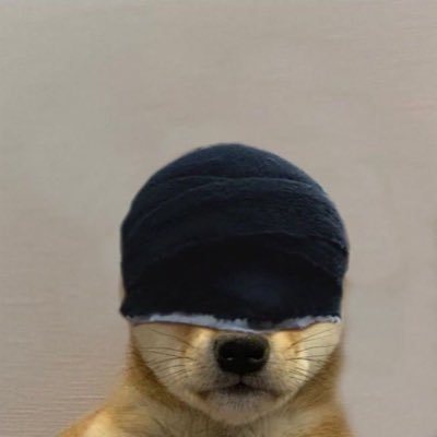 dv_zoq's profile picture. 19, Male, Loves Anime and Comics