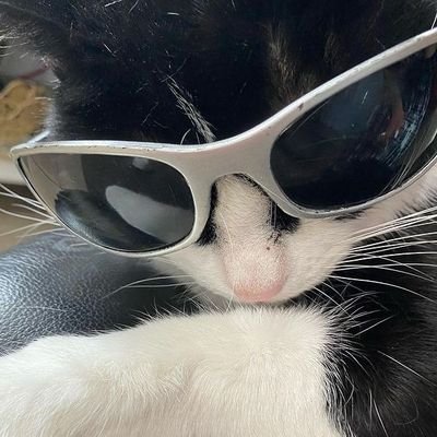 Nickyさんのプロフィール画像